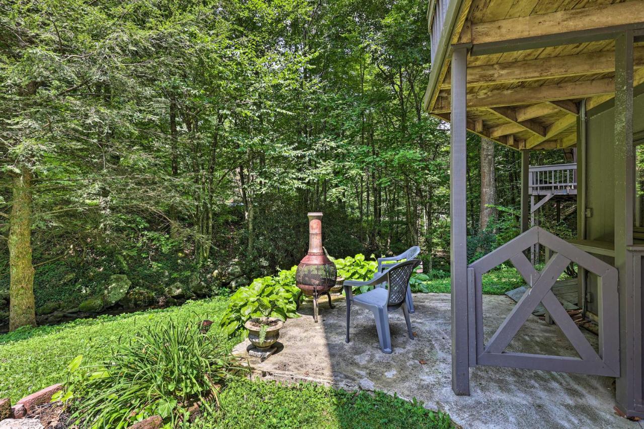 Creekside Roan Mountain Cabin Walk To Trails מראה חיצוני תמונה