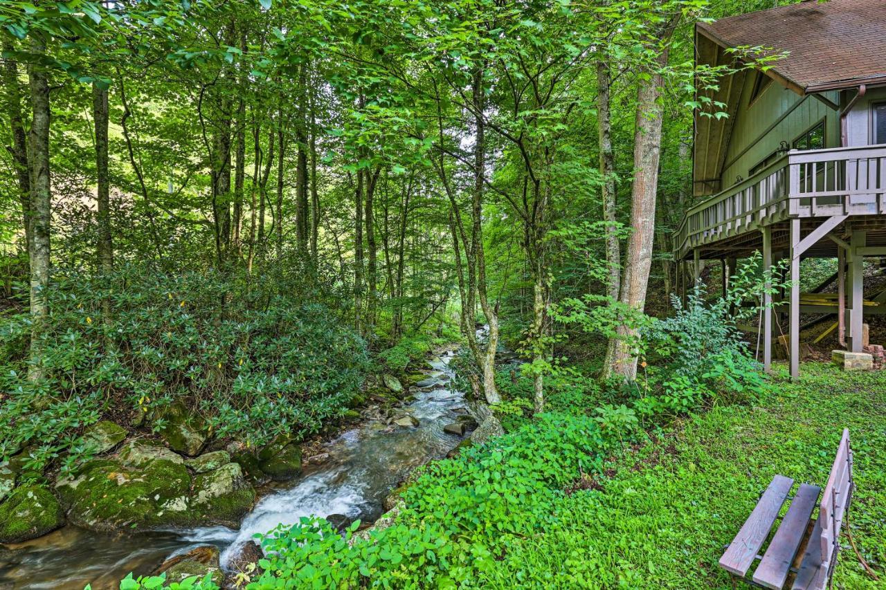 Creekside Roan Mountain Cabin Walk To Trails מראה חיצוני תמונה