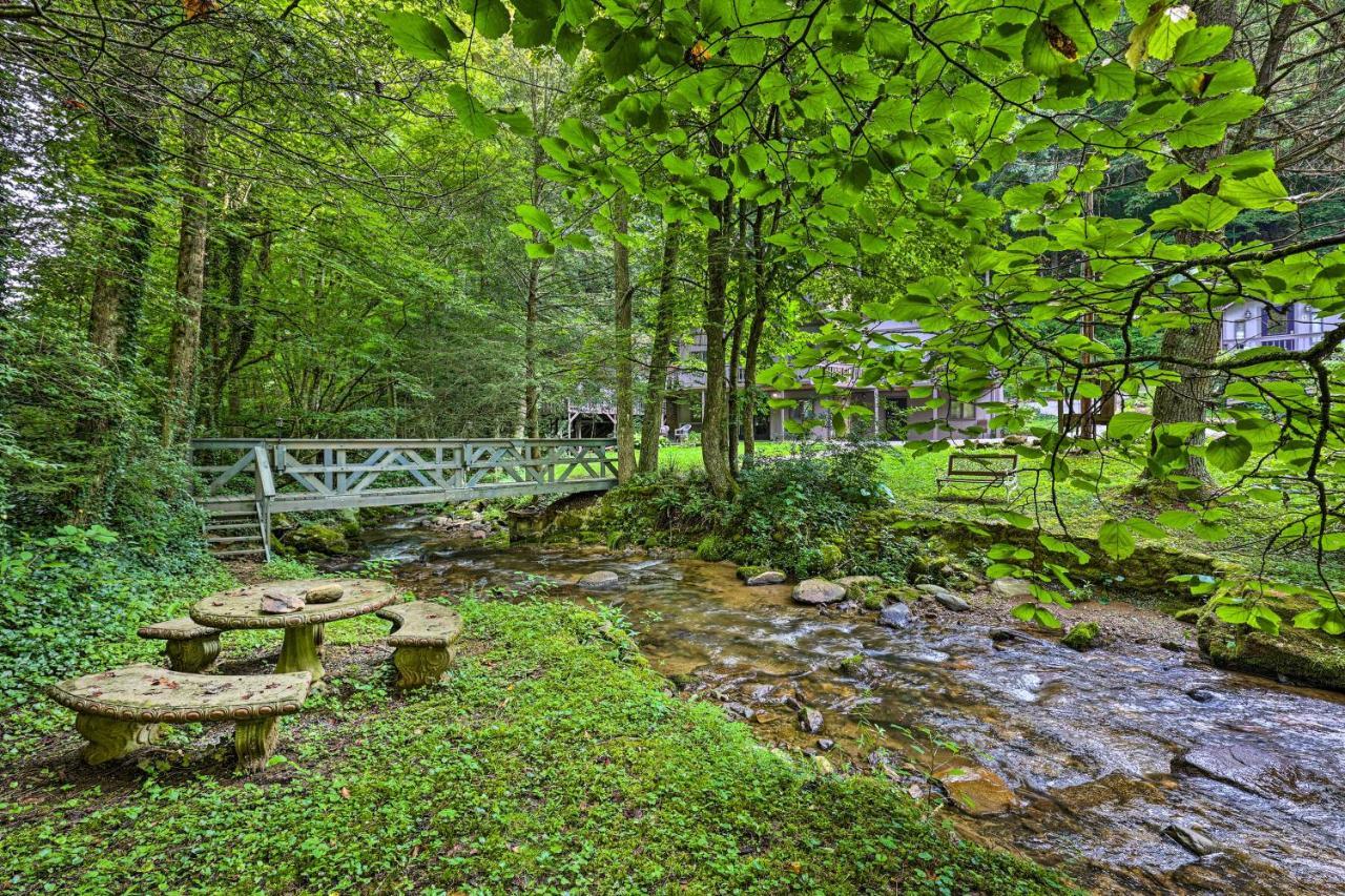 Creekside Roan Mountain Cabin Walk To Trails מראה חיצוני תמונה