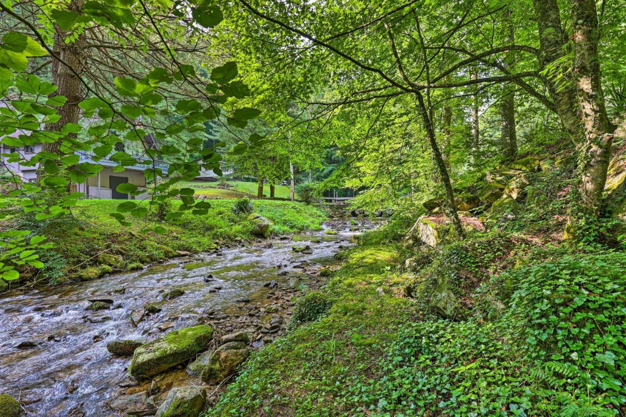 Creekside Roan Mountain Cabin Walk To Trails מראה חיצוני תמונה